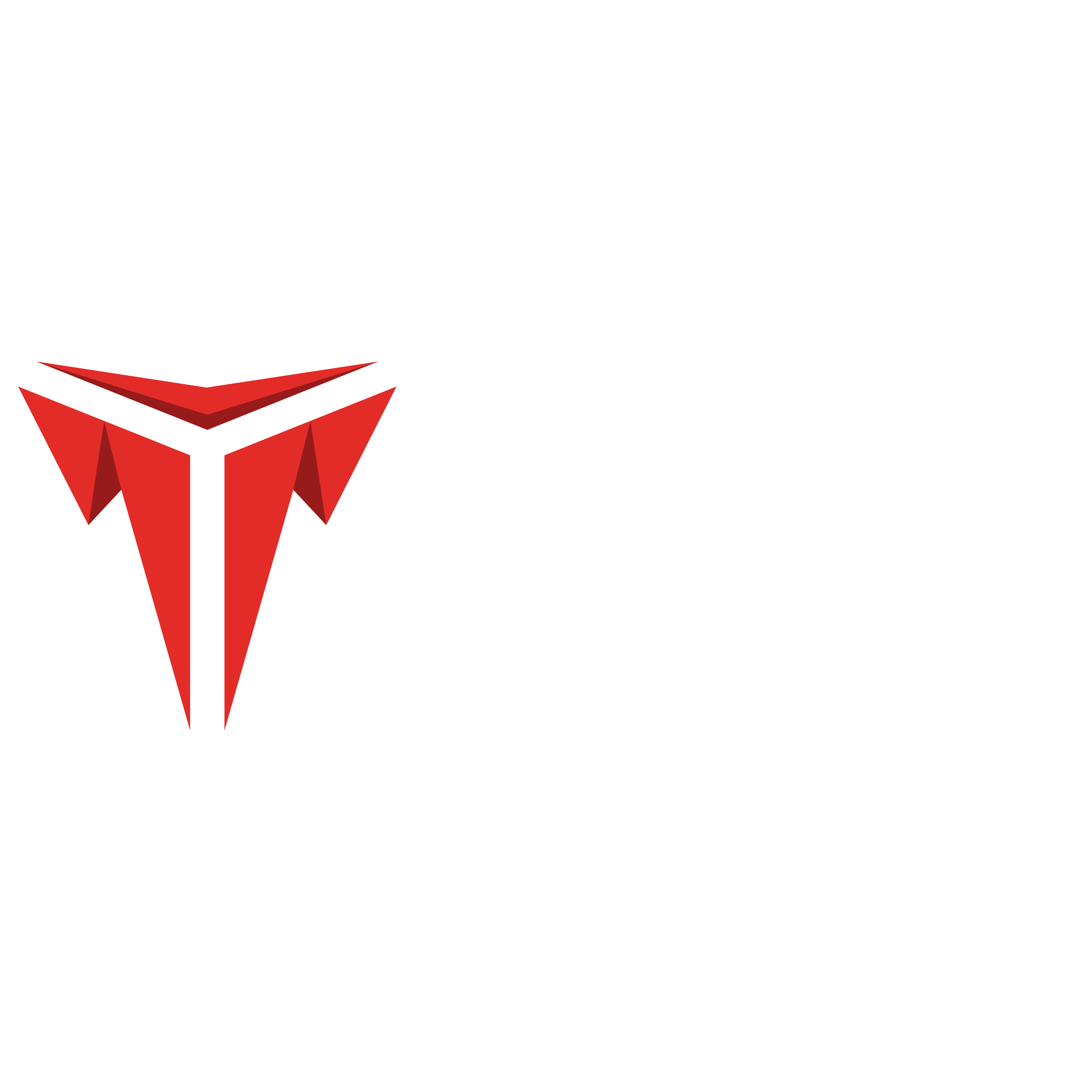 TRITON World Series Logo